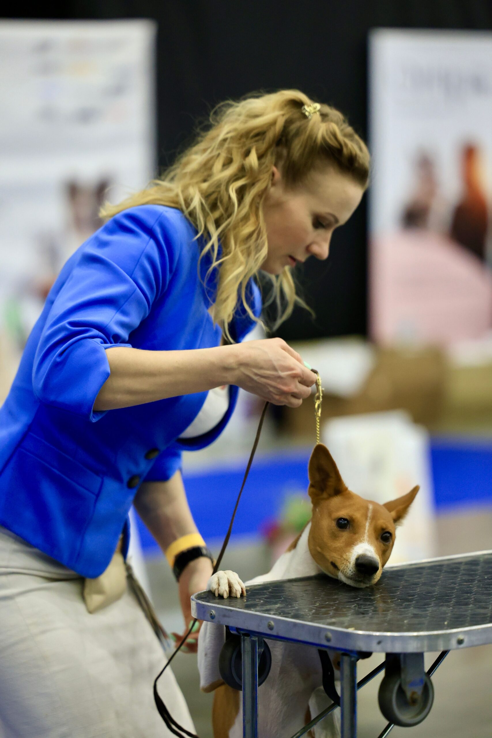 Kennel Tech